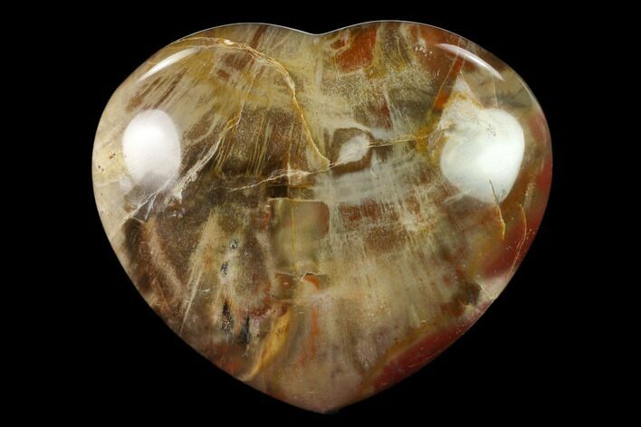 Polished Triassic Petrified Wood Heart - Madagascar #139936